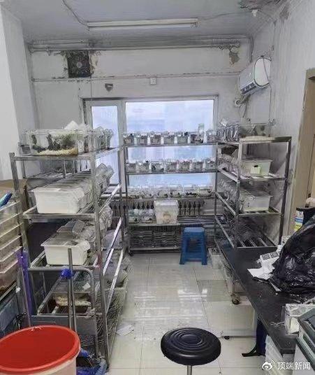 中國醫科大研一學生醫院實驗室猝死,家屬質疑搶救時間,各方回應