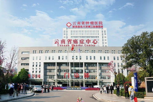 昆明醫科大學第三附屬醫院 昆明醫科大學臨床腫瘤學院組織開展首屆學生職業生涯規劃大賽